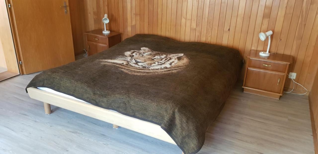 Chalet Spillstatt Grindelwald Dış mekan fotoğraf